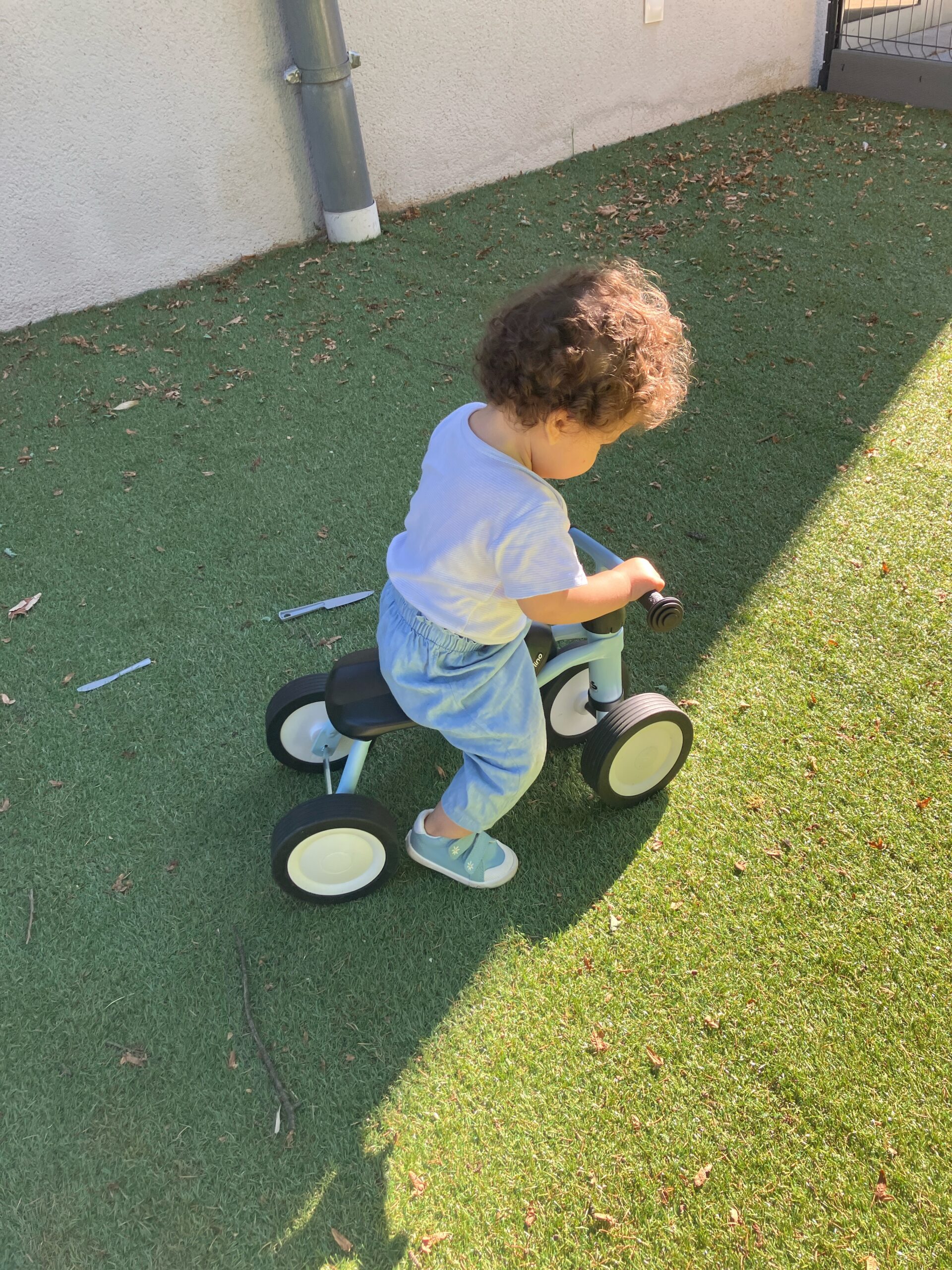 IMG_8095